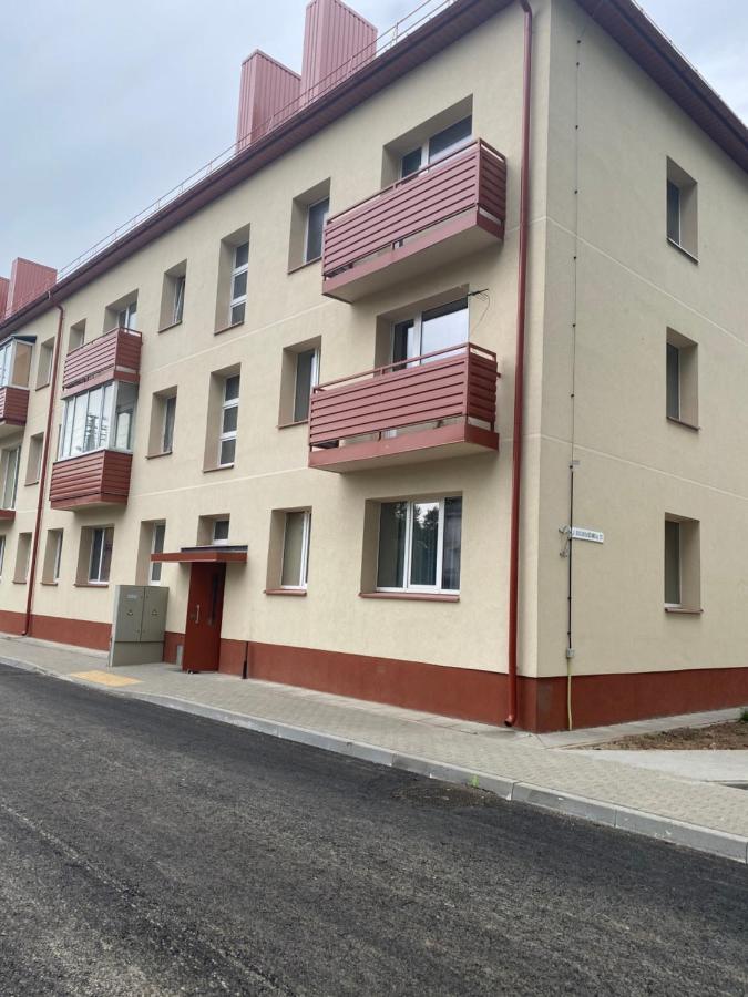 Studio Flat In Kėdainiai Zewnętrze zdjęcie